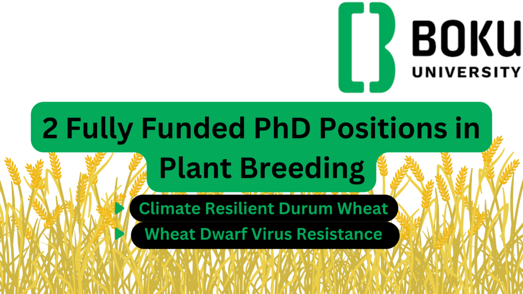 phd scholarship in plant breeding in germany