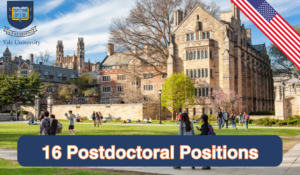 Read more about the article 16 Postdoctoral Opportunities at Yale University, USA
