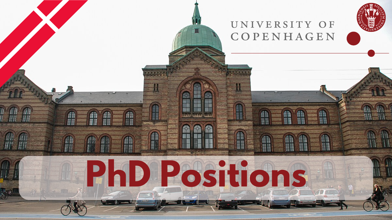 You are currently viewing 19 PhD Scholarships at University of Copenhagen Denmark