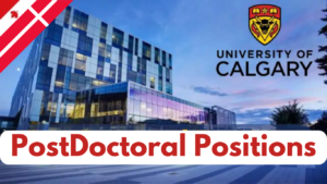 Read more about the article 17 Fully Funded Posdoctoral Positions at Calgary University Canada