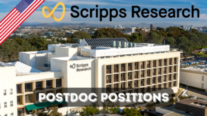 Read more about the article The Scripps Research Institute Offers 24 Postdoctoral Positions, United States