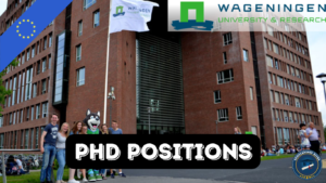 Read more about the article 12 PhD Scholarships at Wageningen University & Research Netherlands